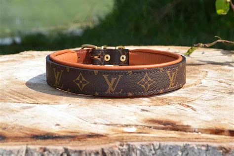 louis vuitton collar dog|louis vuitton dog collar small.